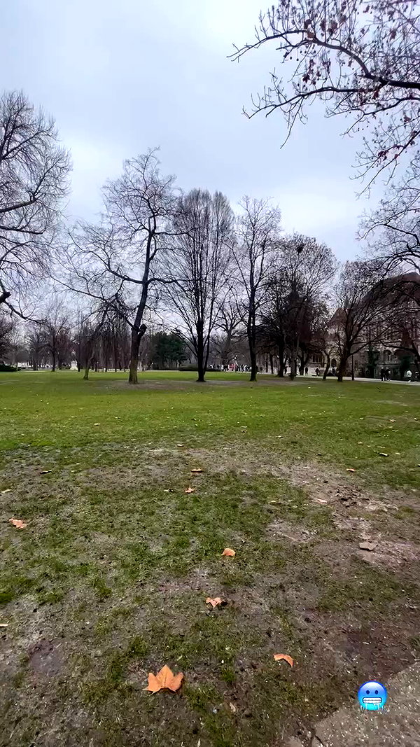 shakeddri archive video preview
