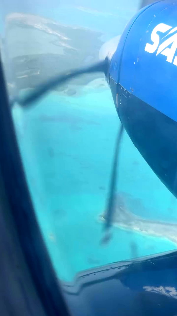 ruth_chavarri archive video preview