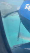 ruth_chavarri Altpins Profile Picture