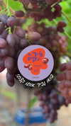 arba_onot_il Altpins Profile Picture
