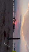 maycohen8 Altpins Profile Picture