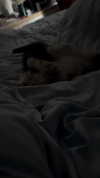 wannabeyourbabygirl Altpins Profile Picture