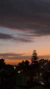 solzarubin_ Altpins Profile Picture
