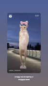 daryanedarya Altpins Profile Picture
