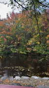 karin_orhov Altpins Profile Picture
