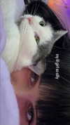 livindeadyaz Altpins Profile Picture