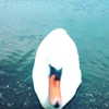erokochiba Altpins Profile Picture