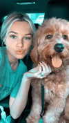 taylorballarddd Altpins Profile Picture