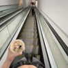 ayash.hila Altpins Profile Picture