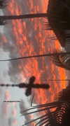 elizabethcampbelljones Altpins Profile Picture