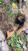 evasela__ Altpins Profile Picture
