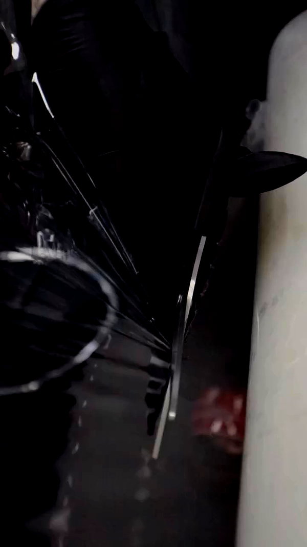tal.naveh archive video preview