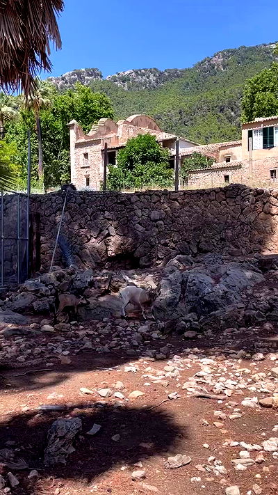 shunli__mei shunli__mei archive video