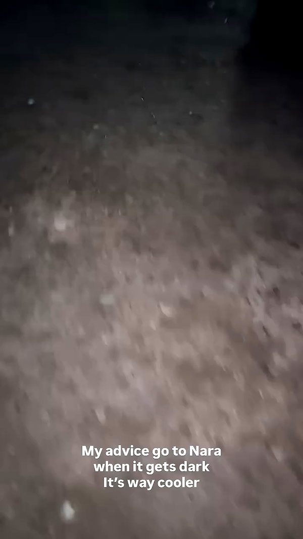 ayash.hila archive video preview