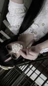 veildose Altpins Profile Picture