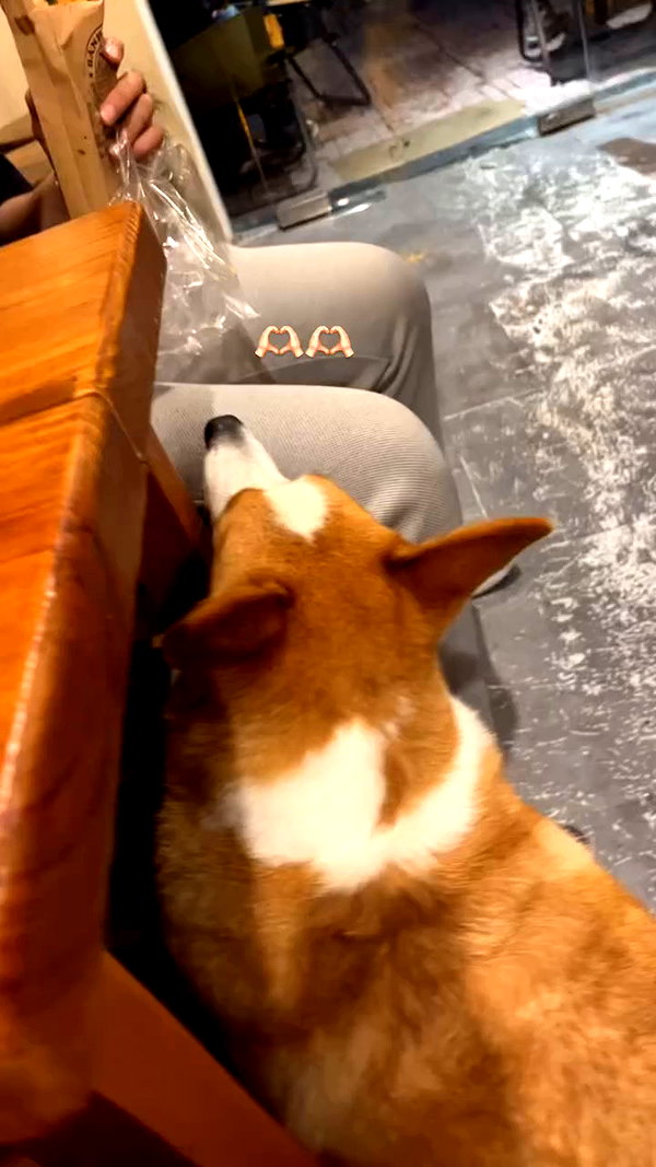 badassn_ archive video preview