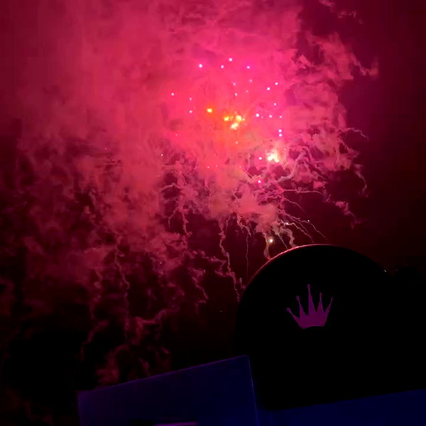 brontesheppeard archive video preview