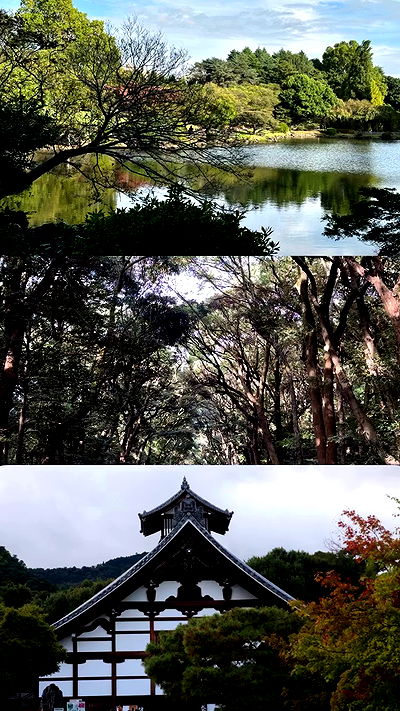 taylor.creeden taylor.creeden archive video