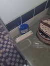 shayli_or Altpins Profile Picture