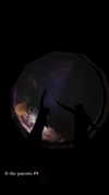 ellamwatts_ Altpins Profile Picture