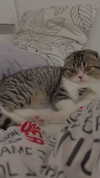 sonia_litvanchuk Altpins Profile Picture