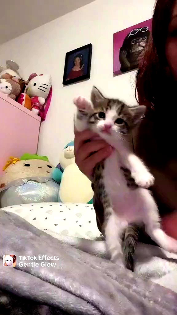babynympho_archive archive video preview