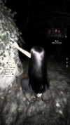 brookeesfallen Altpins Profile Picture
