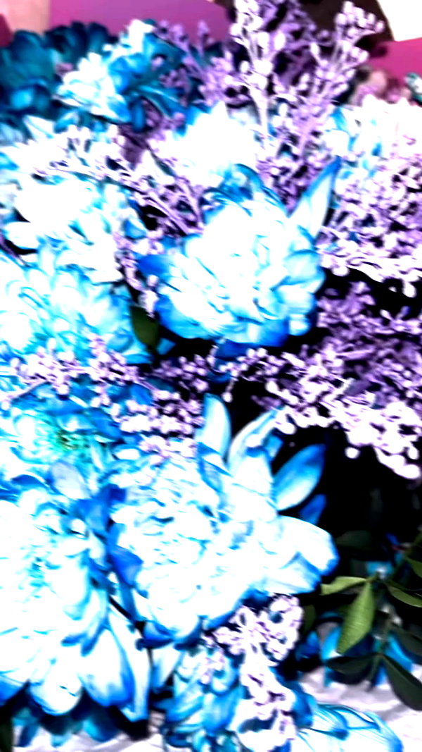 leanxhrt archive video preview