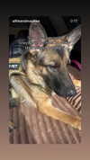emily_new2 Altpins Profile Picture