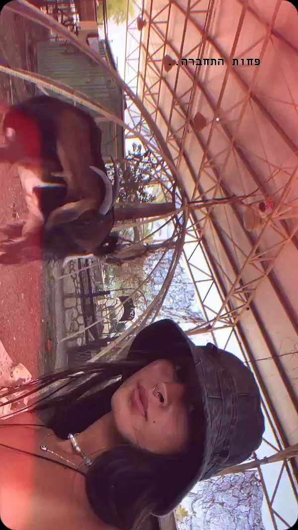 _lironatias archive video preview
