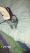 evasela__ Altpins Profile Picture
