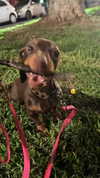 maya.keyy Altpins Profile Picture