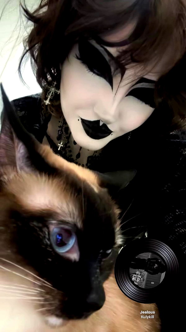darkblueyoshii archive video preview