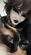 darkblueyoshii Altpins Profile Picture