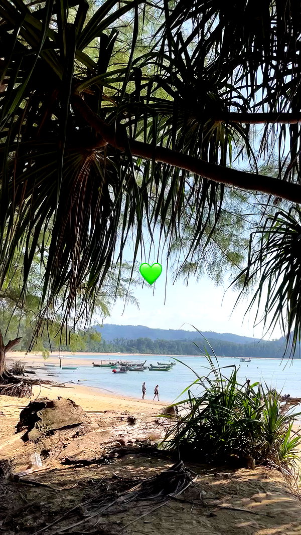 tamagotkri archive video preview