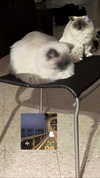 protheme Altpins Profile Picture