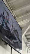 ellmari.e Altpins Profile Picture
