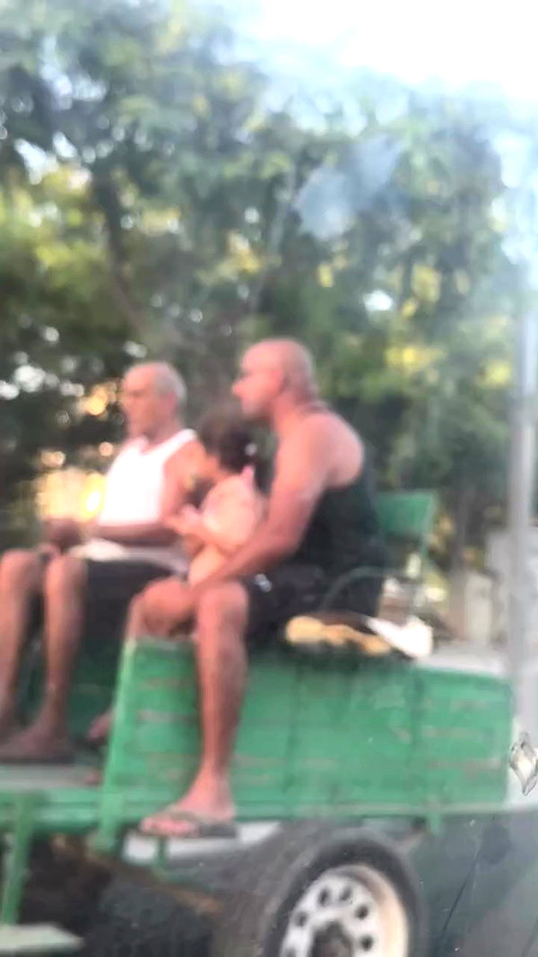 ___shachar archive video preview
