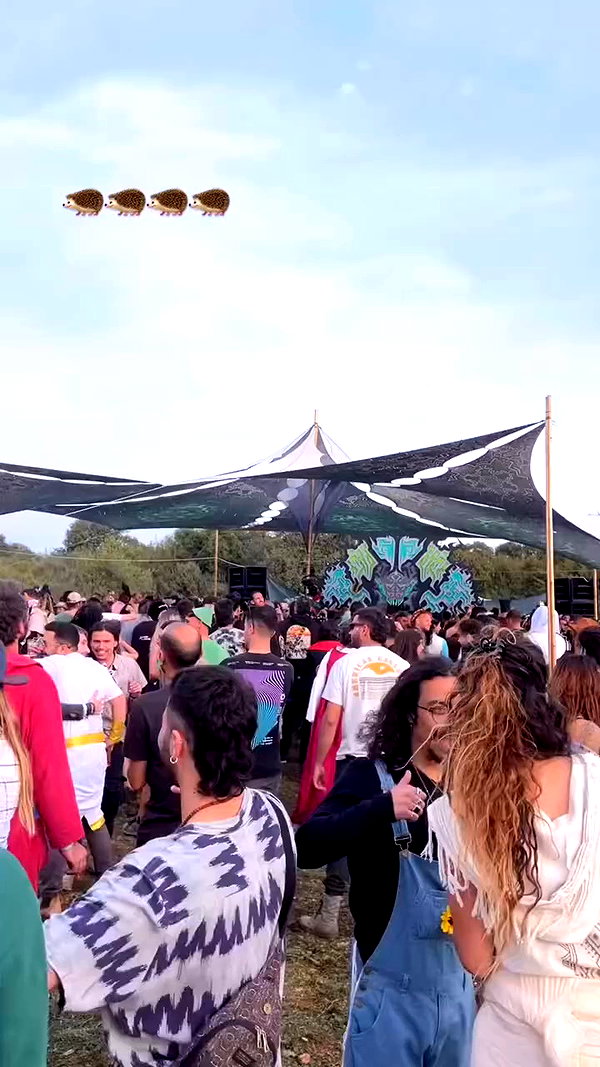 shaharo__._ archive video preview