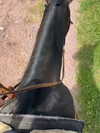 biton__adi Altpins Profile Picture