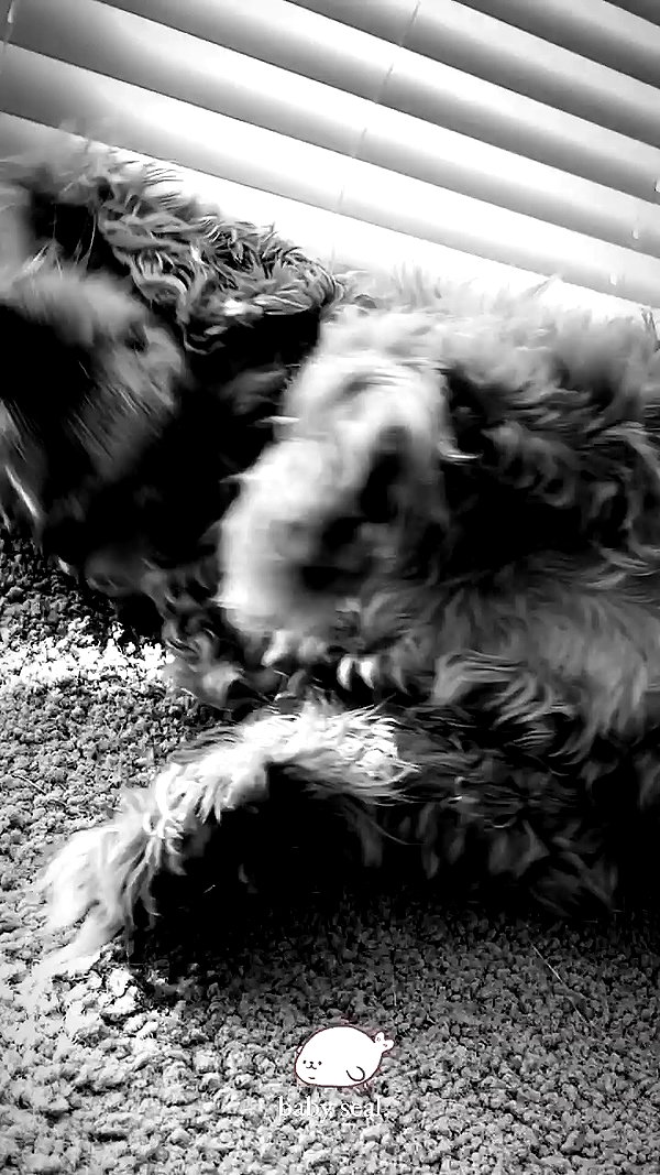 oliviaphillipps archive video preview