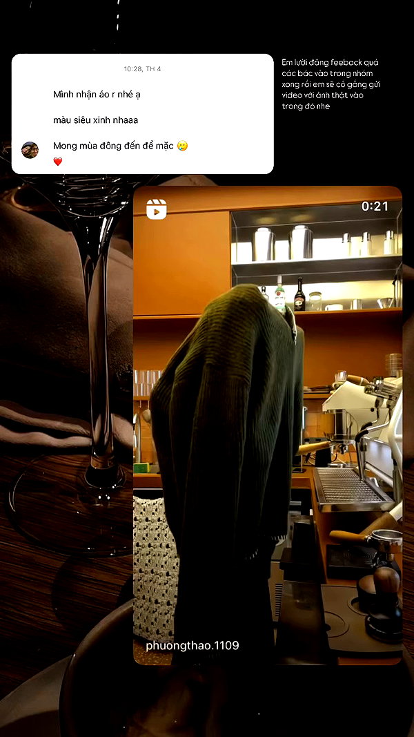 phuongthao.1109 archive video preview