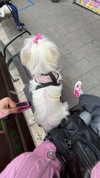 _l1loo Altpins Profile Picture