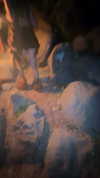 strawberryshanz Altpins Profile Picture