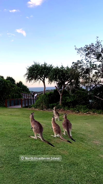 giangg._ giangg._ archive video