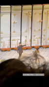 libby_reut Altpins Profile Picture