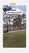 breckiehill Altpins Profile Picture