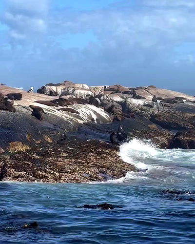 taylor.creeden taylor.creeden archive video