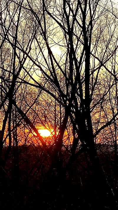 nyityam nyityam archive video