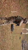 ninja.tactic Altpins Profile Picture